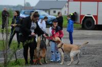 II Rodzinny Dogtrekking - 9071_foto_24opole_0045.jpg