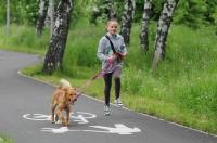 II Rodzinny Dogtrekking - 9071_foto_24opole_0219.jpg