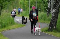 II Rodzinny Dogtrekking - 9071_foto_24opole_0226.jpg