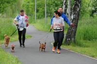 II Rodzinny Dogtrekking - 9071_foto_24opole_0231.jpg