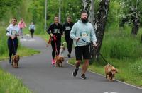 II Rodzinny Dogtrekking - 9071_foto_24opole_0266.jpg