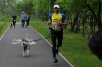 II Rodzinny Dogtrekking - 9071_foto_24opole_0280.jpg