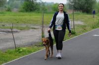 II Rodzinny Dogtrekking - 9071_foto_24opole_0293.jpg