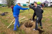 Mieszkańcy miasta posadzili 100 drzew