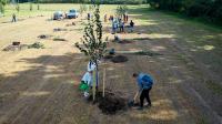 Mieszkańcy miasta posadzili 100 drzew - 9154_foto_24opole_0037.jpg