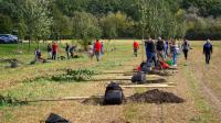 Mieszkańcy miasta posadzili 100 drzew - 9154_foto_24opole_0045.jpg