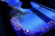 Akwarium w ZOO Opole Gotowe