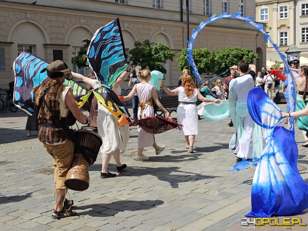 24opole.pl
