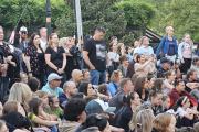 Koncert "Organek" Festiwal Książki