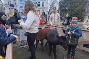 33. Finał WOŚP Opole
