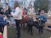 33. Finał WOŚP Opole