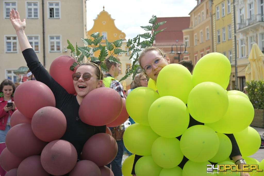 24opole.pl