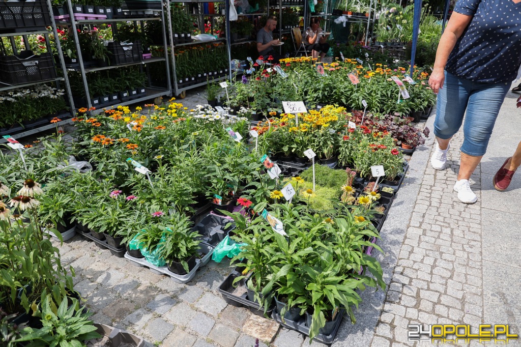 24opole.pl
