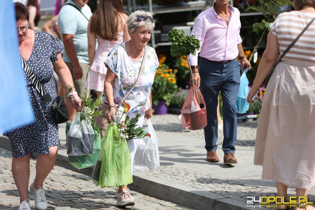 24opole.pl