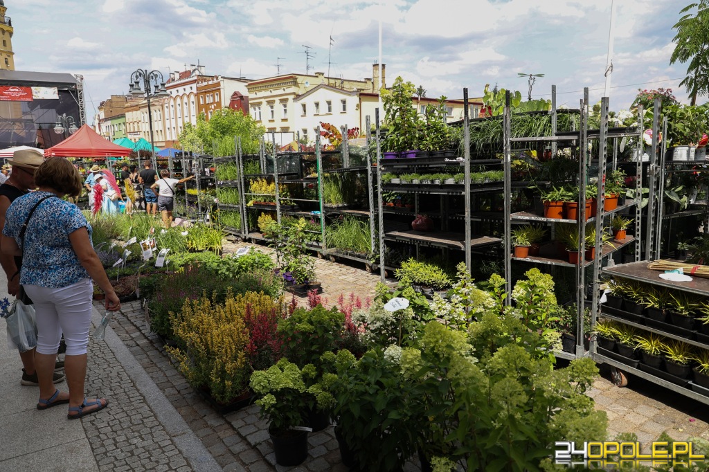 24opole.pl