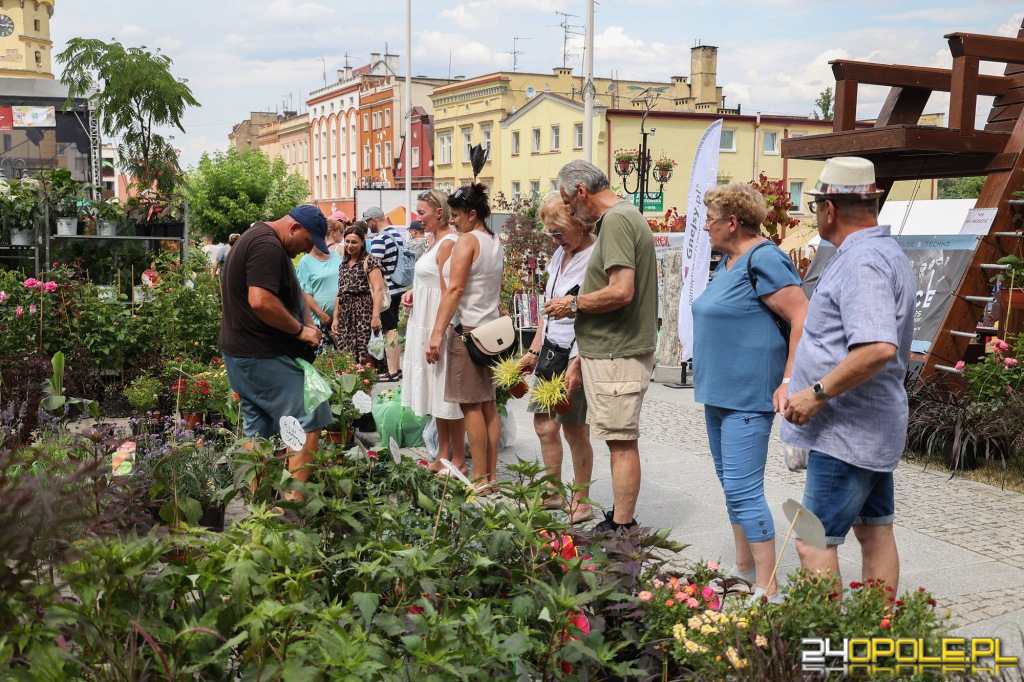 24opole.pl