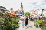 Lato Kwiatów 2025 Otmuchów