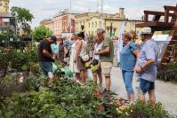 Lato Kwiatów 2025 Otmuchów - 9370_lato-kwiatow-2025-8.jpg