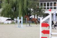 Zawody Jeździeckie  - 9375_resize_cr6_0263.jpg