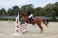 Zawody Jeździeckie  - 9375_resize_cr6_0311.jpg