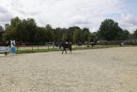 Zawody Jeździeckie  - 9375_resize_cr6_0318.jpg