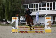 Zawody Jeździeckie  - 9375_resize_cr6_0424.jpg