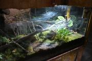 Nocne zwiedzanie zoo