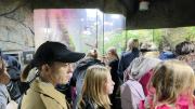 Nocne zwiedzanie zoo