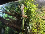 Nocne zwiedzanie zoo