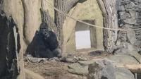 Nocne zwiedzanie zoo - 20250924162144_20250923_195221_14.jpg