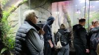Nocne zwiedzanie zoo - 20250924162144_20250923_200046_12.jpg