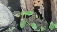 Nocne zwiedzanie zoo - 20250924162144_20250923_200313_11.jpg