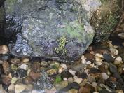 Nocne zwiedzanie zoo - 20250924162144_20250923_200529_10.jpg