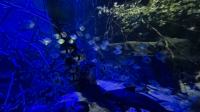 Nocne zwiedzanie zoo - 20250924162144_20250923_202248_4.jpg