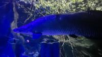 Nocne zwiedzanie zoo - 20250924162144_20250923_202346_3.jpg
