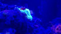 Nocne zwiedzanie zoo - 20250924162144_20250923_202525_2.jpg