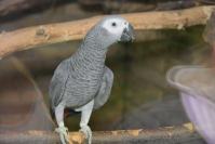 Nocne zwiedzanie zoo - 9379_dsc_6692.jpg