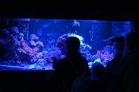 Nocne zwiedzanie zoo - 9379_dsc_6751.jpg