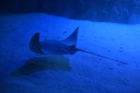 Nocne zwiedzanie zoo - 9379_dsc_6779.jpg
