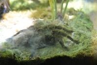 Nocne zwiedzanie zoo - 9379_dsc_6841.jpg