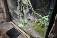 Nocne zwiedzanie zoo - 9379_dsc_6861.jpg