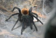 Nocne zwiedzanie zoo - 9379_dsc_6874.jpg