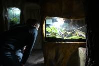 Nocne zwiedzanie zoo - 9379_dsc_6879.jpg