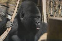 Nocne zwiedzanie zoo - 9379_dsc_6935.jpg