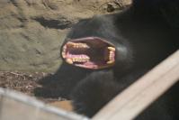 Nocne zwiedzanie zoo - 9379_dsc_6941.jpg