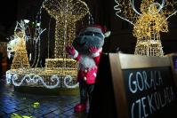 Jarmark Bożonarodzeniowy 2025 - 9385_jarmark-swiateczny-opole-2025-125.jpg