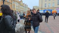 24. POLONEZ MATURZYSTÓW