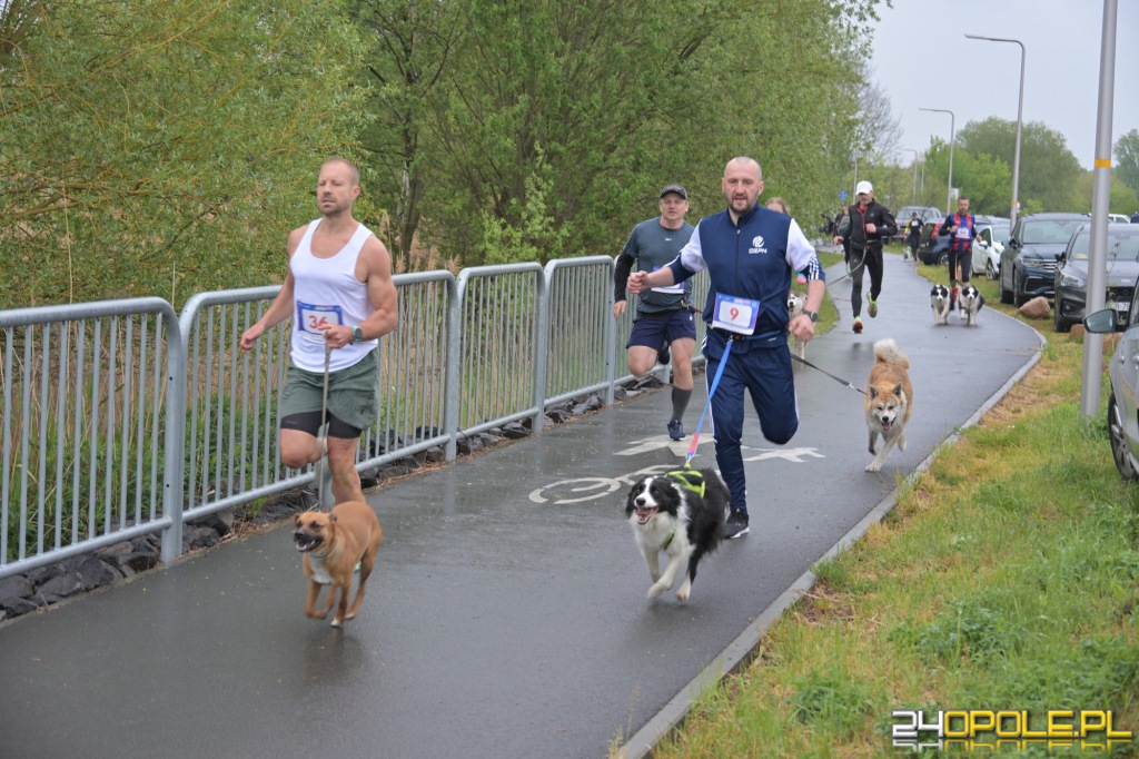 Rodzinny Dogtrekking 2026