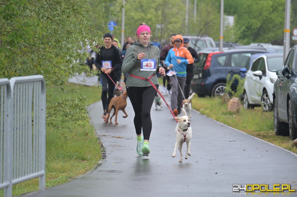 Rodzinny Dogtrekking 2026