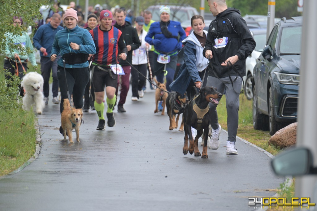 Rodzinny Dogtrekking 2026